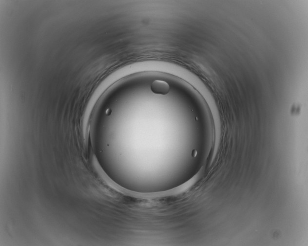 X0000091990125200709201455