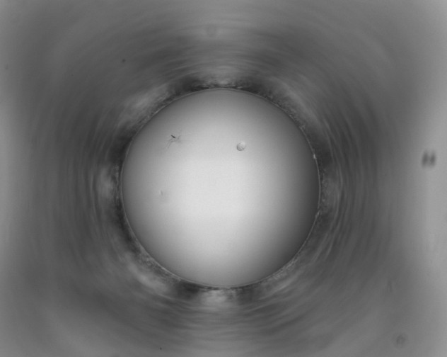 X0000091990126200709201455