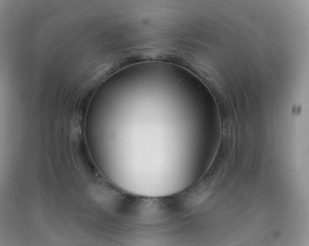 X0000091990127200709201455