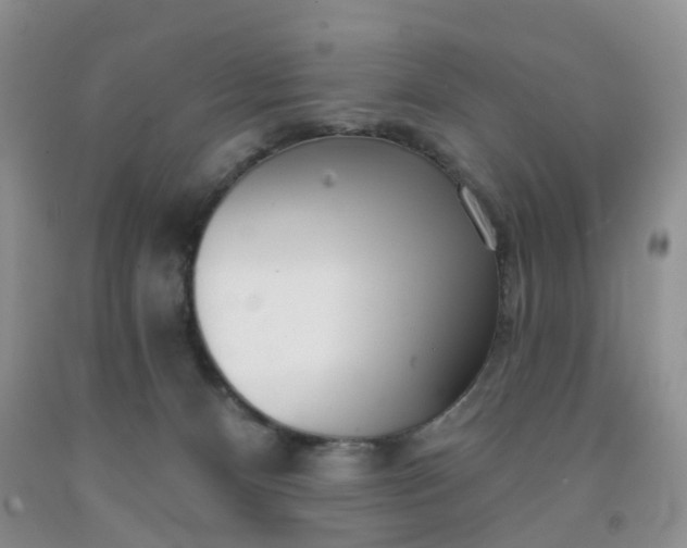 X0000091990128200709201455