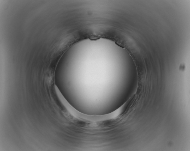 X0000091990129200709201455