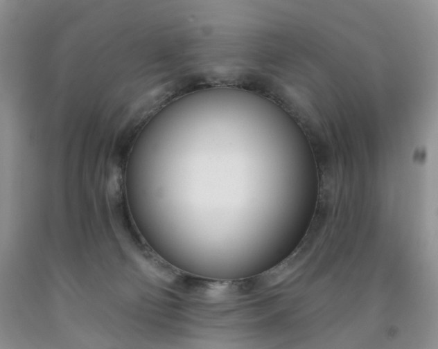 X0000091990130200709201455