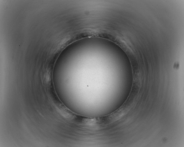 X0000091990131200709201455