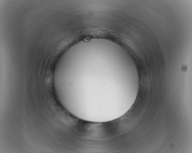 X0000091990132200709201455