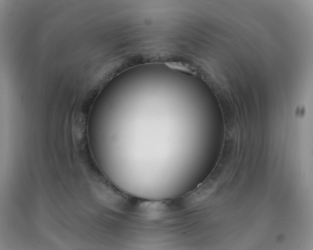 X0000091990133200709201455