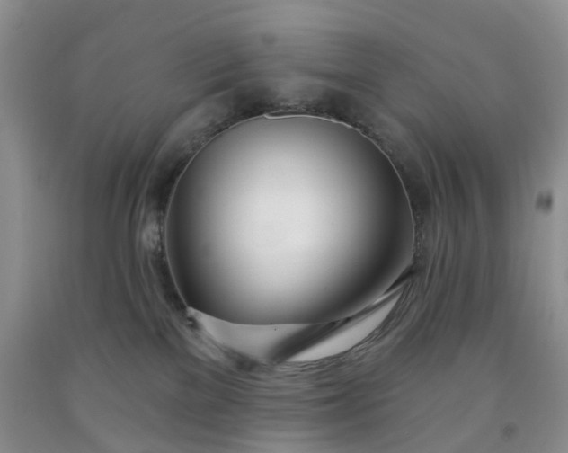 X0000091990137200709201455