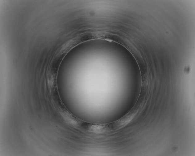 X0000091990139200709201455