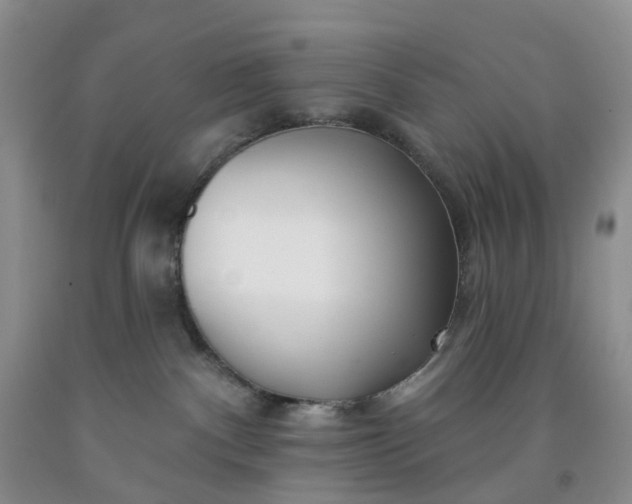 X0000091990140200709201455