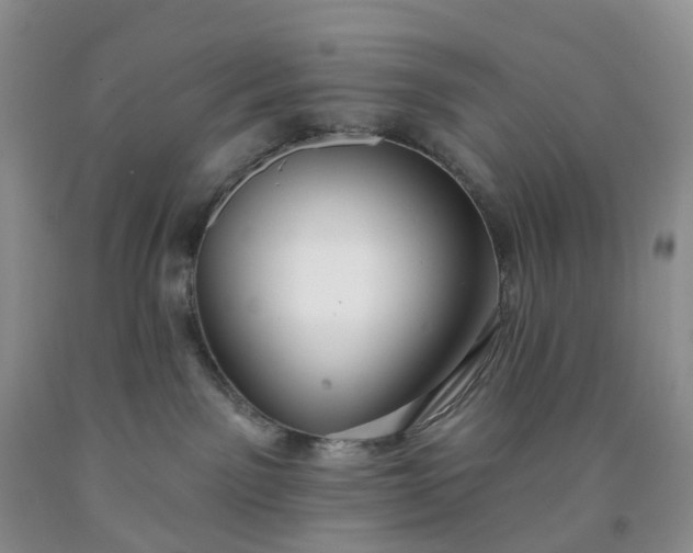 X0000091990141200709201455