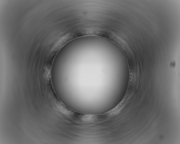 X0000091990142200709201455