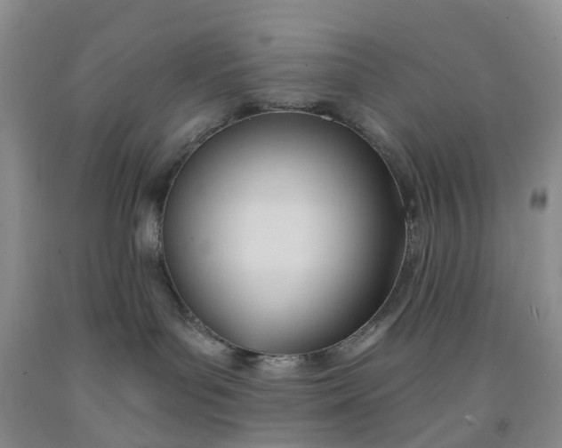 X0000091990143200709201455