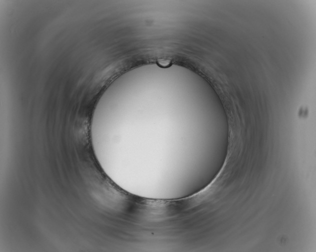 X0000091990144200709201455