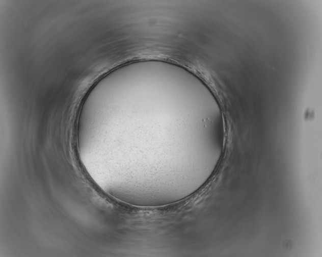 X0000091990145200709201454