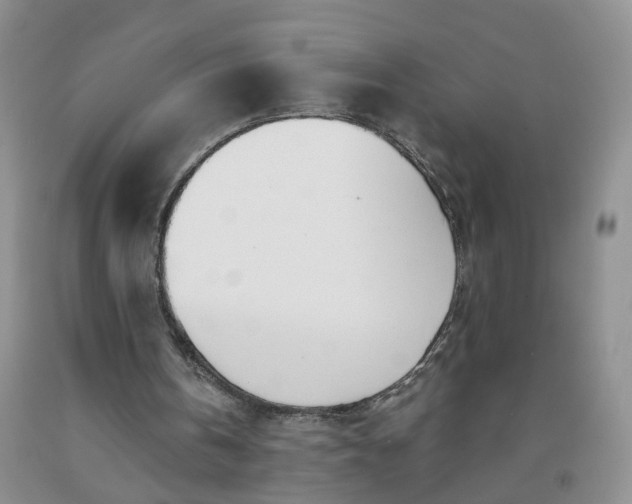 X0000091990146200709201454