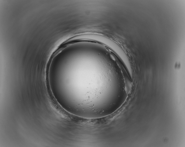 X0000091990148200709201454