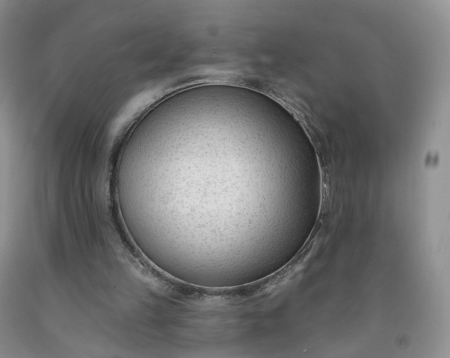 X0000091990149200709201454