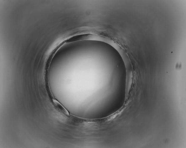 X0000091990150200709201454