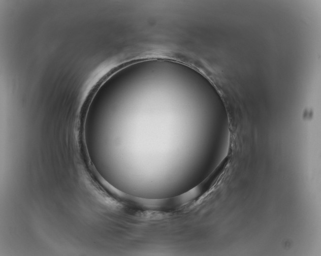 X0000091990152200709201454