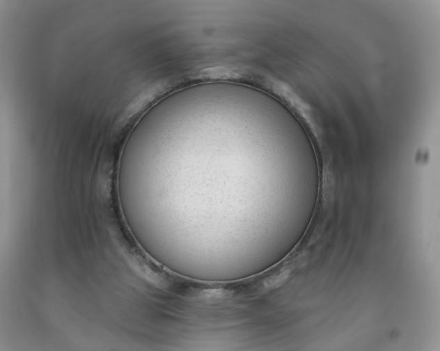 X0000091990153200709201454