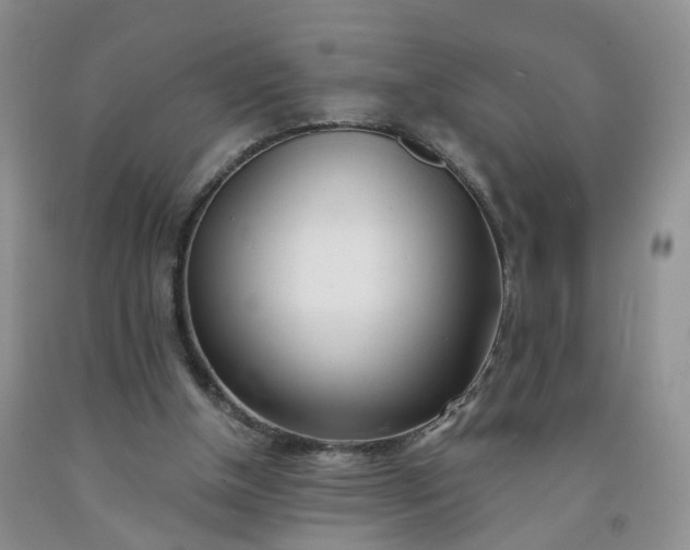 X0000091990154200709201454
