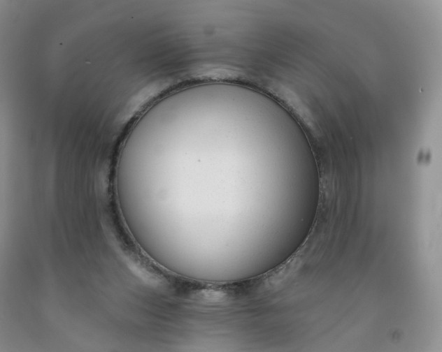 X0000091990159200709201455