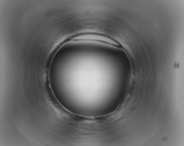 X0000091990160200709201455