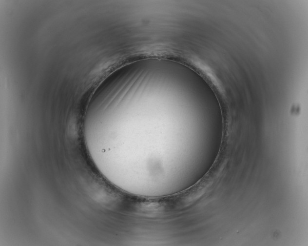 X0000091990161200709201455