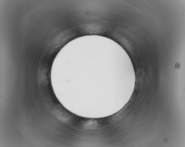 X0000091990162200709201455