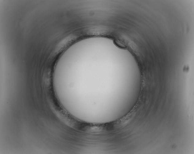 X0000091990163200709201455