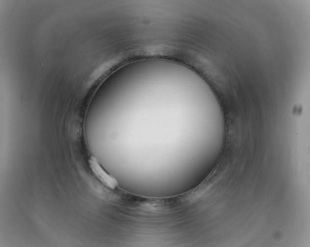 X0000091990164200709201455