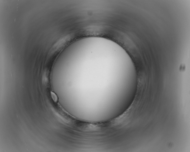 X0000091990166200709201455