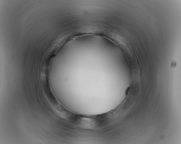 X0000091990167200709201455