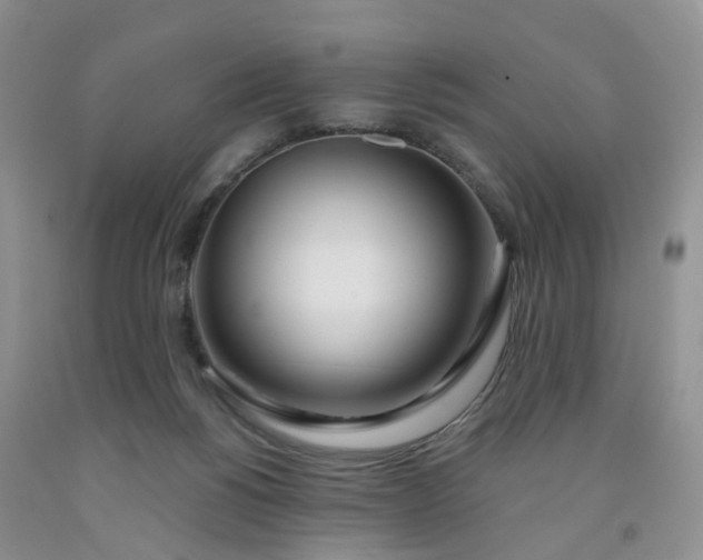 X0000091990168200709201455