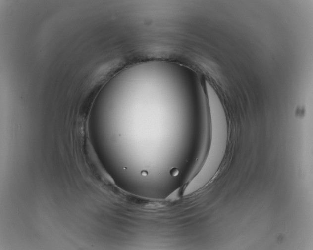 X0000091990172200709201455