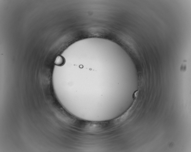 X0000091990174200709201455