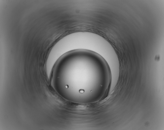 X0000091990176200709201455