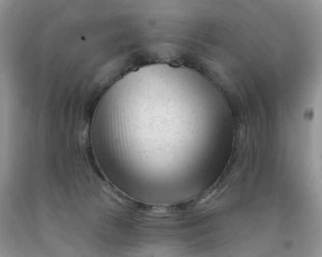 X0000091990177200709201455