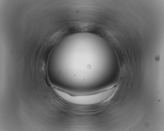 X0000091990178200709201455