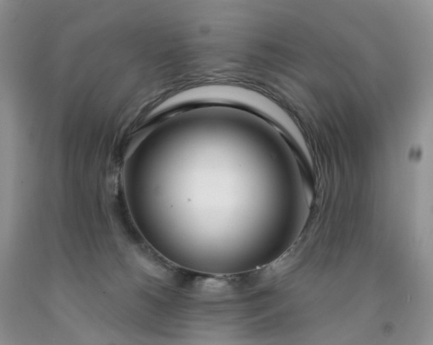 X0000091990180200709201455