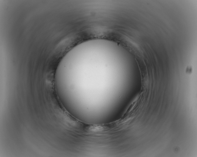 X0000091990181200709201455