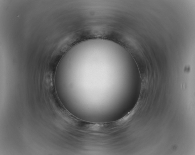 X0000091990182200709201455