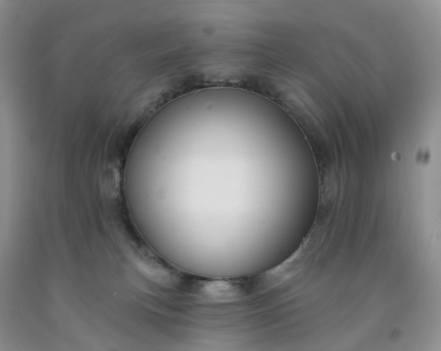 X0000091990183200709201455