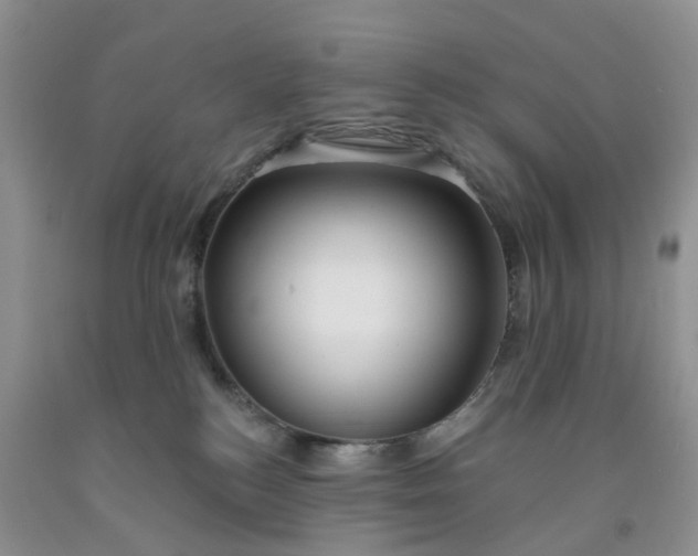 X0000091990184200709201455