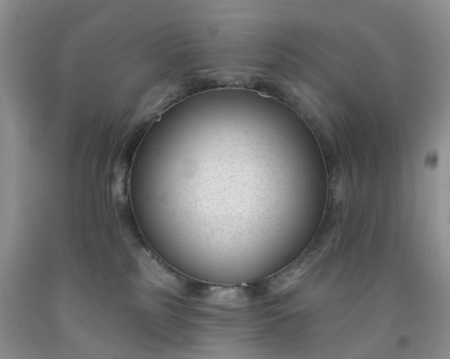 X0000091990185200709201455