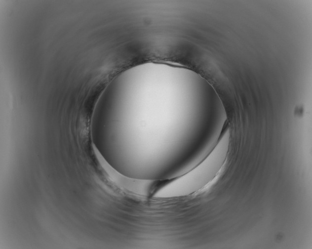 X0000091990186200709201455