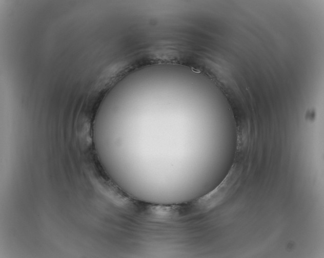 X0000091990187200709201455