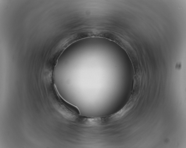 X0000091990188200709201455