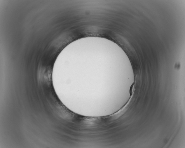 X0000091990190200709201455