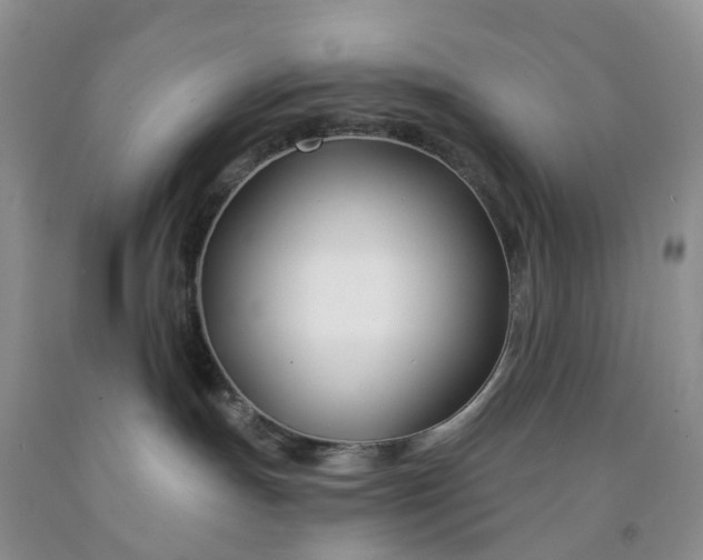 X0000091990191200709201455