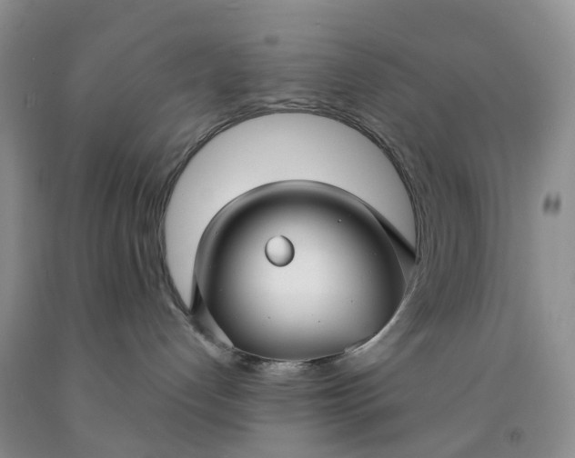 X0000091990192200709201455